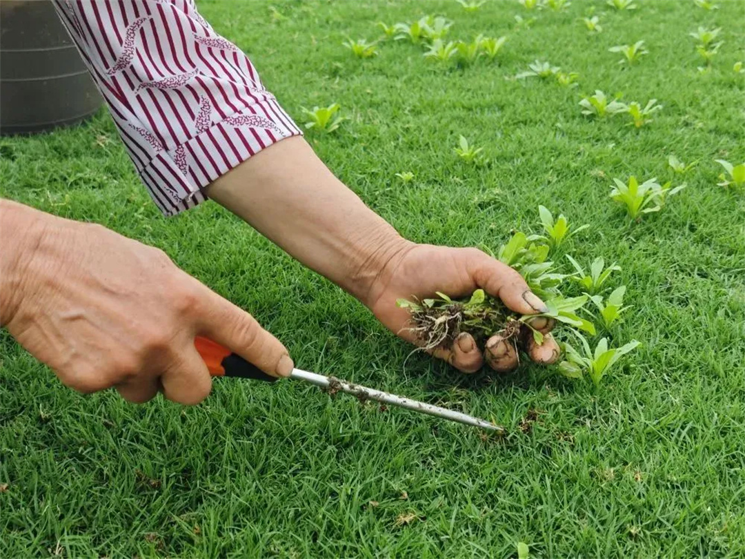 萬豪集團(tuán)匠心助力，6月齊聚重慶龍興足球場為國足吶喊助威！