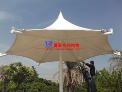 膜結構形態(tài)有哪幾種？分別有哪些特點特征？